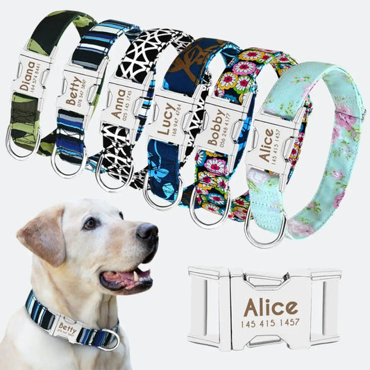 Summer Dog Collar Collection