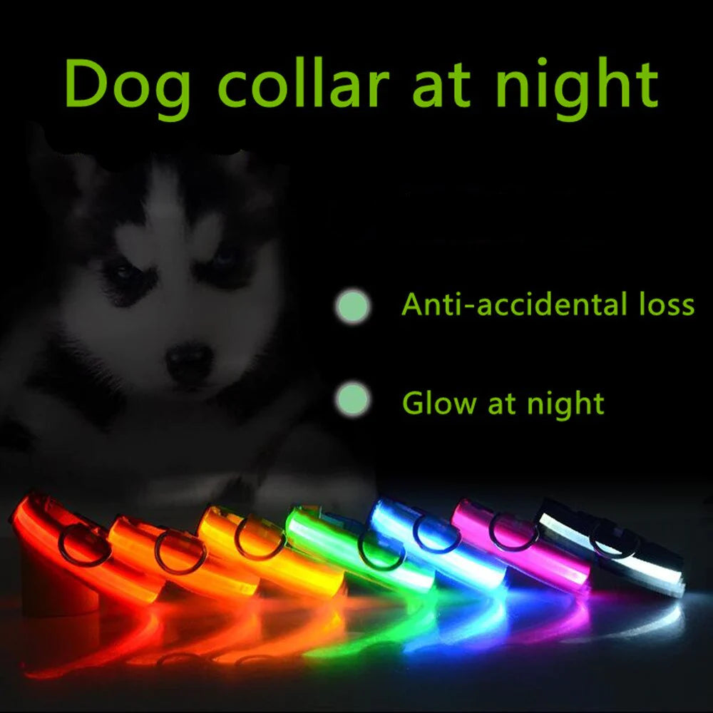 Waterproof Adjustable LED Dog Collar