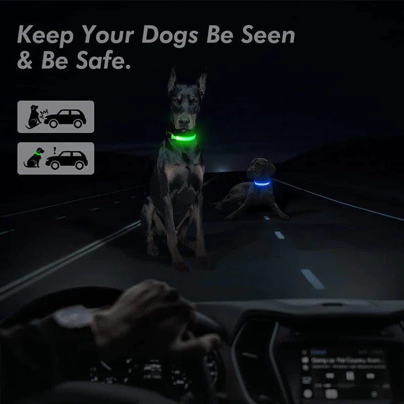 Waterproof Adjustable LED Dog Collar