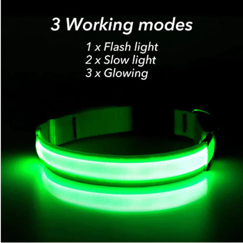 Waterproof Adjustable LED Dog Collar