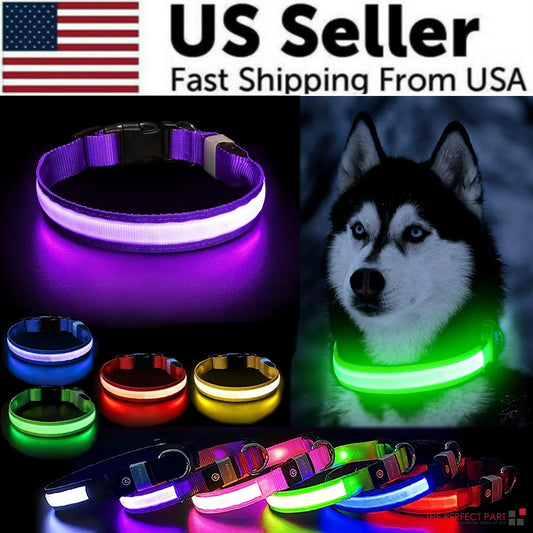 Waterproof Adjustable LED Dog Collar