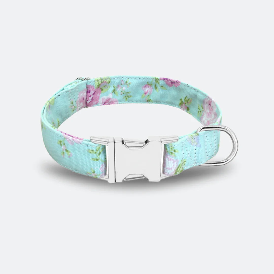 Summer Dog Collar Collection