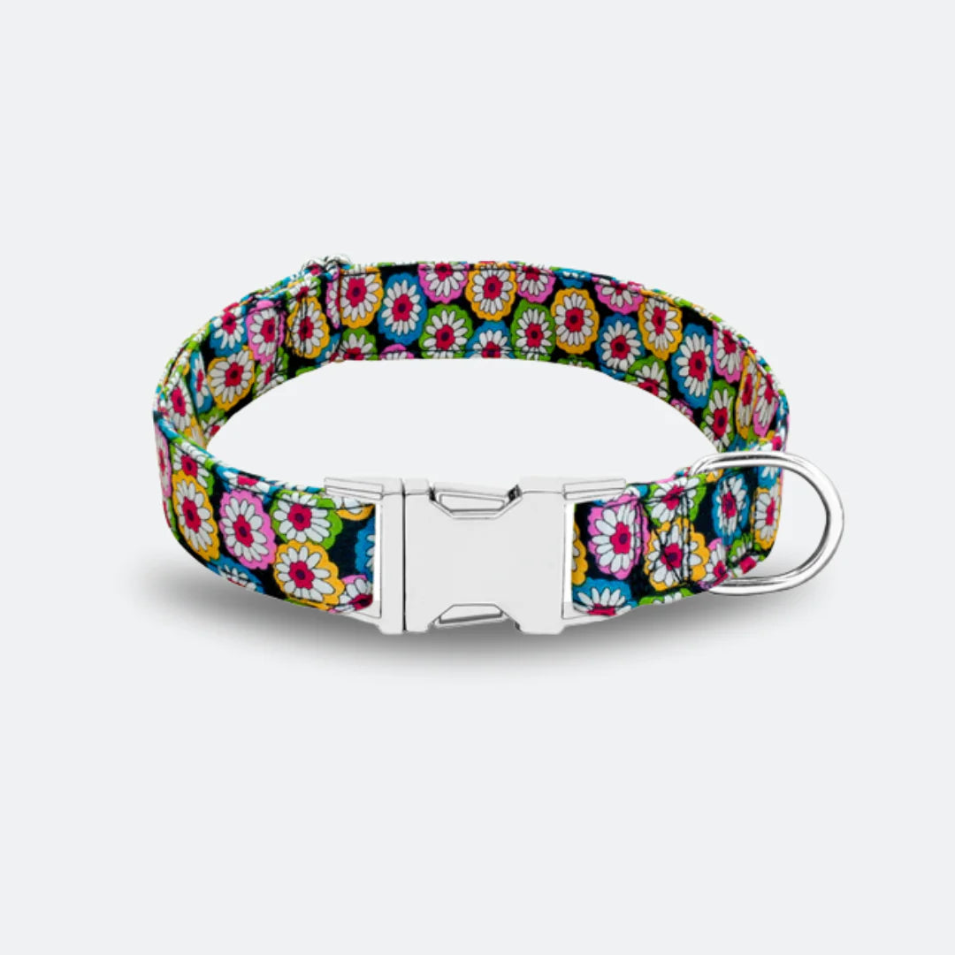 Summer Dog Collar Collection