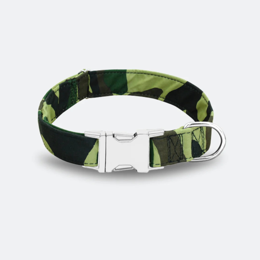 Summer Dog Collar Collection