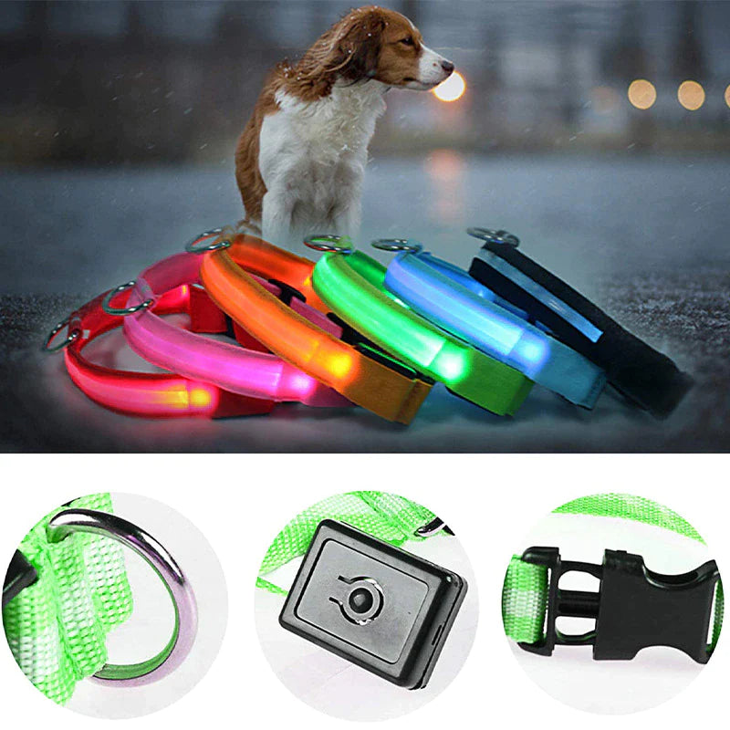 Waterproof Adjustable LED Dog Collar