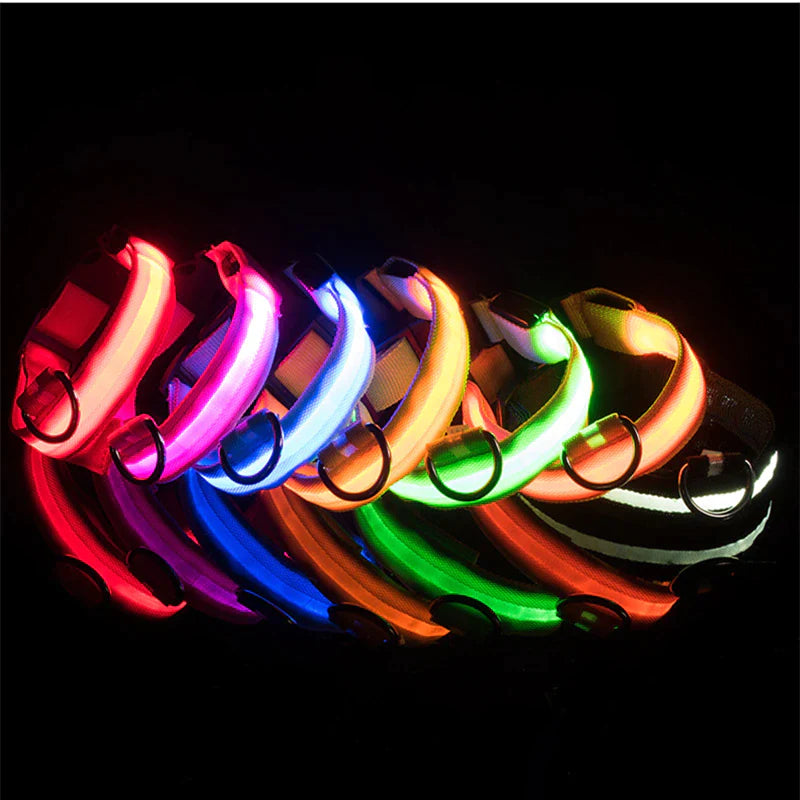 Waterproof Adjustable LED Dog Collar