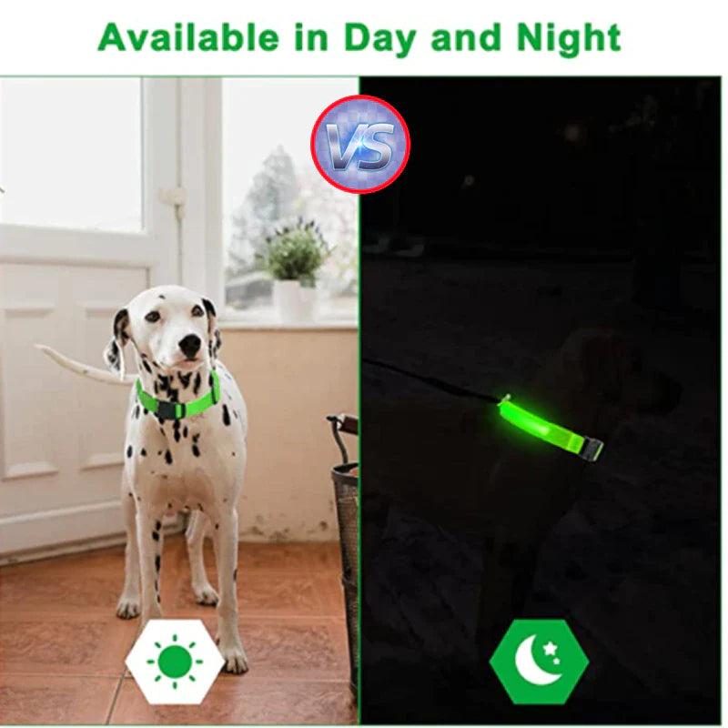 Waterproof Adjustable LED Dog Collar