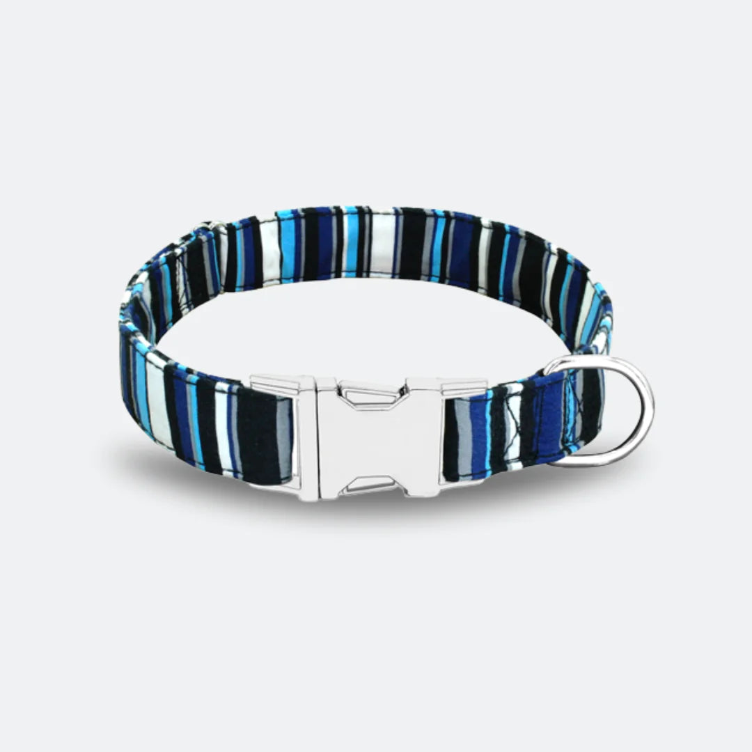 Summer Dog Collar Collection