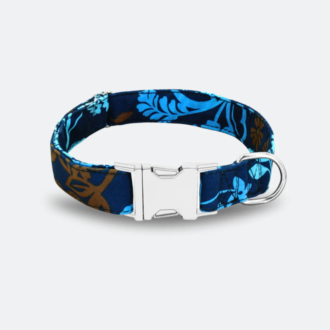 Summer Dog Collar Collection